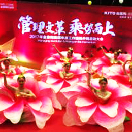 �赸��(j��ng)�o(j��)��˾