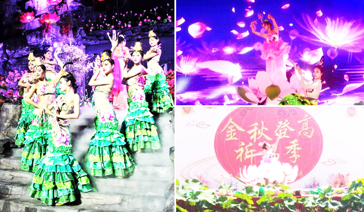 �V���赸���o��˾