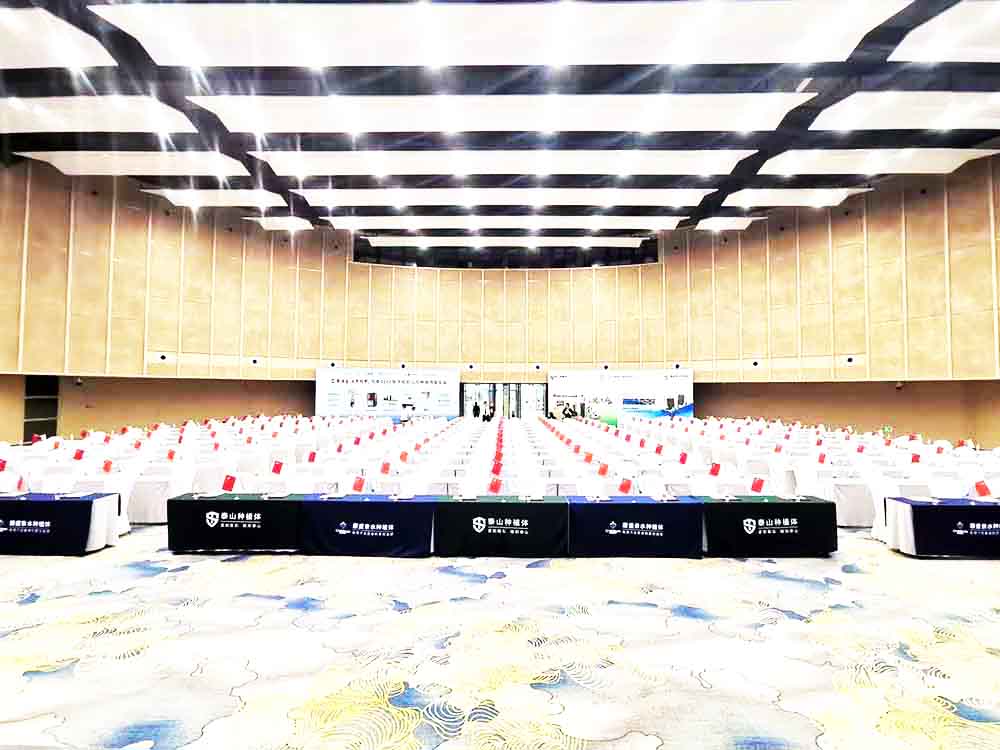 海南年會活動演出公司提供的恒泰口腔種植博鰲年會坐席區